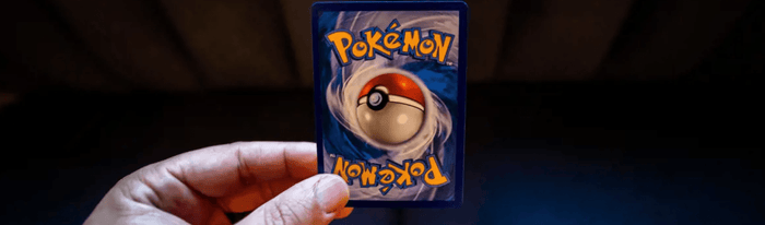 Comprehensive collection of vintage and modern Pokémon TCG items arranged as a complete tiered archival storage guide